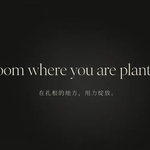 收集每日一句英文短句，诚邀来预见论坛分享你最喜欢的一句英语