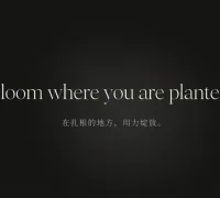 收集每日一句英文短句，诚邀来预见论坛分享你最喜欢的一句英语