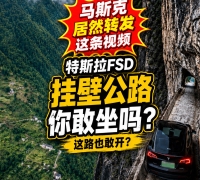 特斯拉挂壁公路智驾测试视频火了：FSD V14技术很强，但别急着“封神”