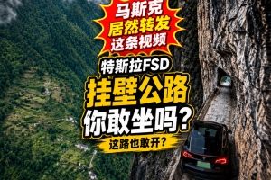 特斯拉挂壁公路智驾测试视频火了：FSD V14技术很强，但别急着“封神”
